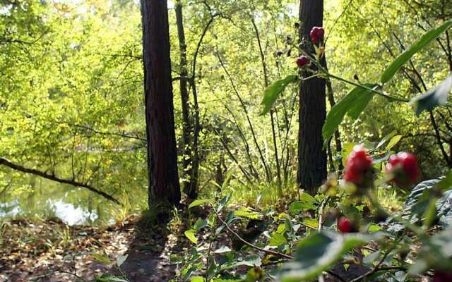 Majestic Apartment in Westerstede