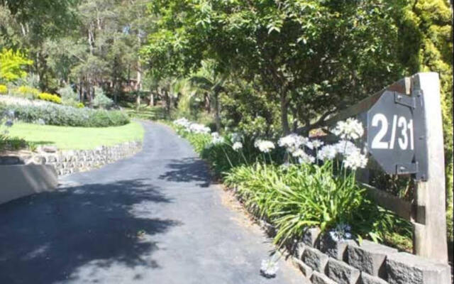 Terrigal Hinterland