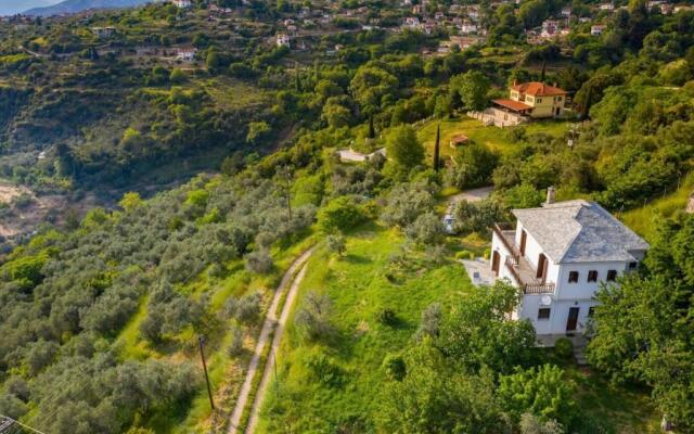 Villa Evzimthea, a wonderful house in the woods
