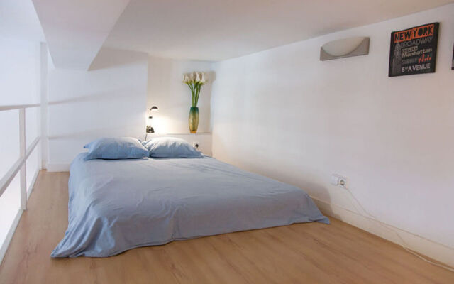 Apartamentos Puerta del Sol-Lofts Calle Ribera de Curtidores