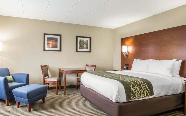 Comfort Inn- Hammond