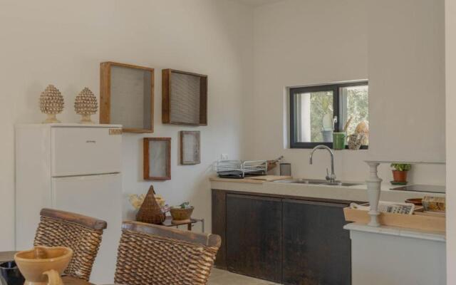 New Villa Aspri with Infinity Pool 1km from the sea