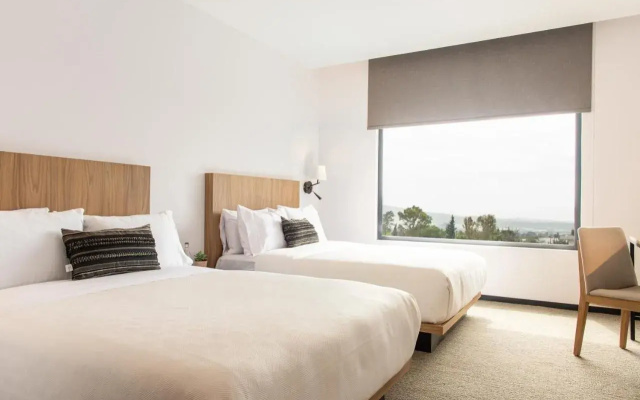Stadía Suites Querétaro Centro Histórico