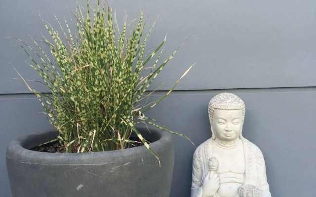 Serenity Stay Bed & Breakfast