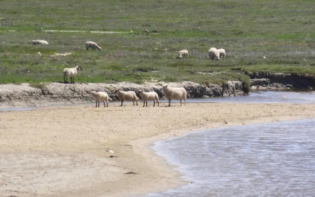 Holiday Home St- Martin-de-Bréhal - NMD04102f-F