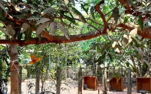 Krousar Khmer's Home