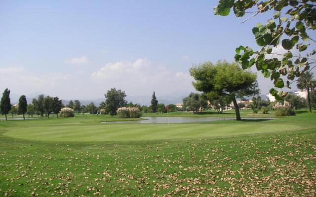 Frente al Mar - Velazquez