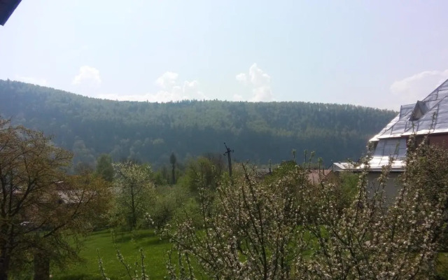 Sadyba Markevychiv
