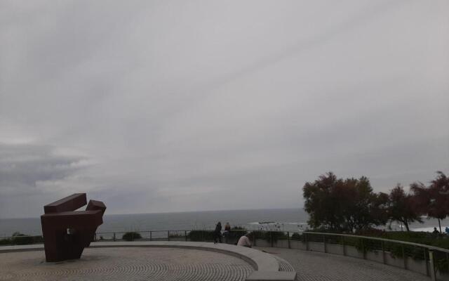 Appartement Biarritz, 2 pièces, 4 personnes - FR-1-239-660