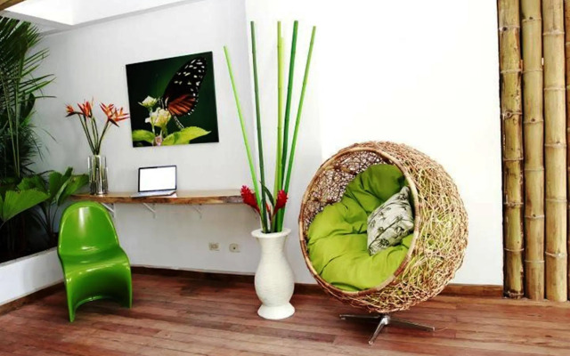 Cocoon Hotel