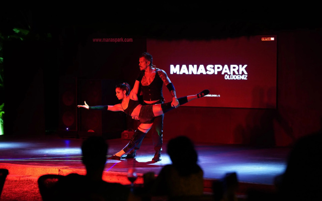 Manaspark Deluxe