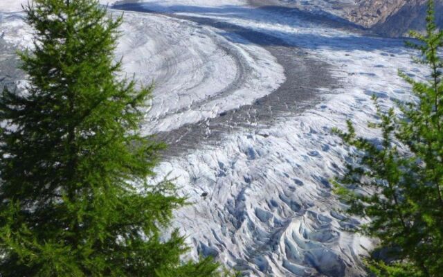 Amici 1. Stock Allegra