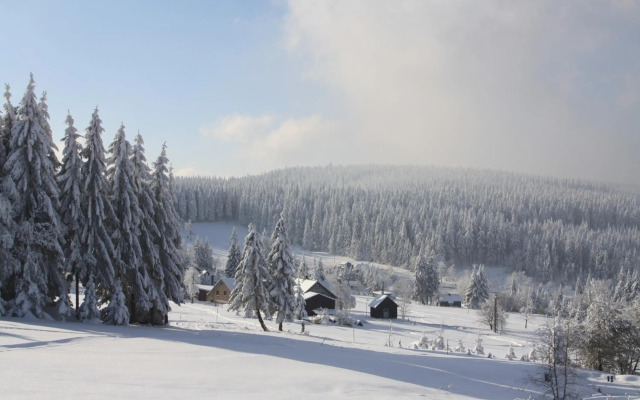 Ferienhotel Mühlleithen