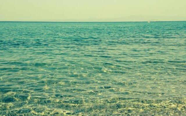 Beach next to the House Agni