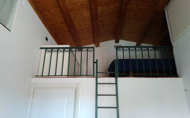 Olivella Suite