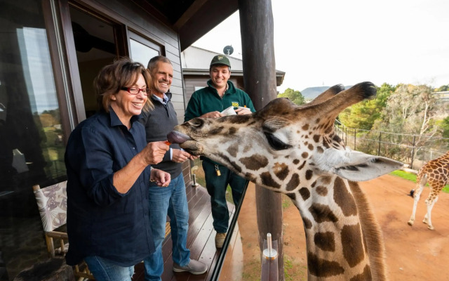 Jamala Wildlife Lodge