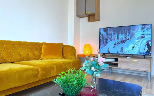 Carefully Designed Studio