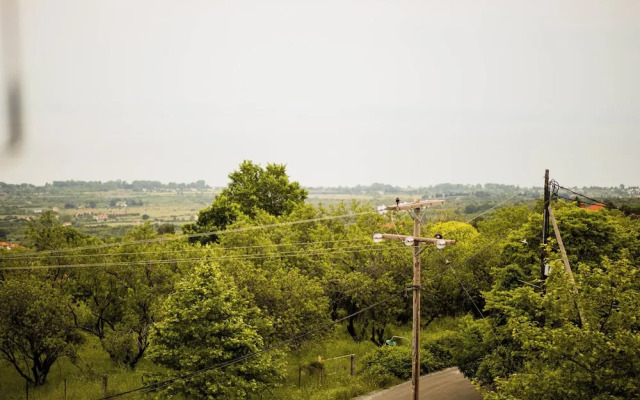 Zeusplace Fenias Nest House