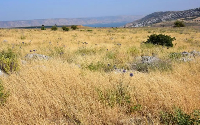 Sea of Galilee Tiberius apartment with panoramic sea view