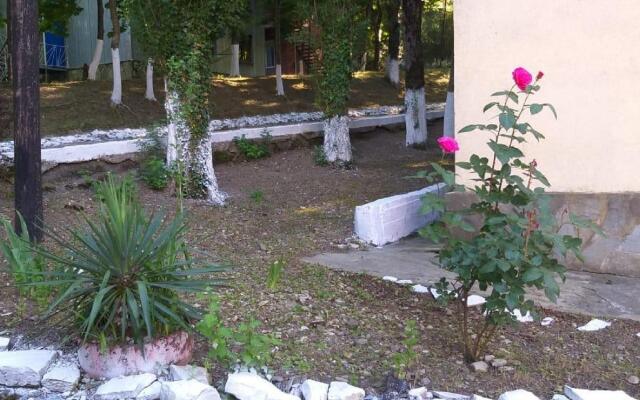 Recreation Center Platan