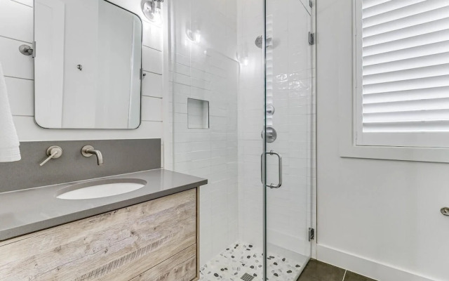 Turtle's Nest 113 SEV