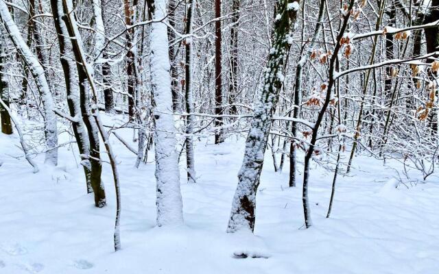 Ferienwohnung Natur und Kunst