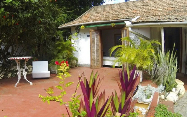 Yucas