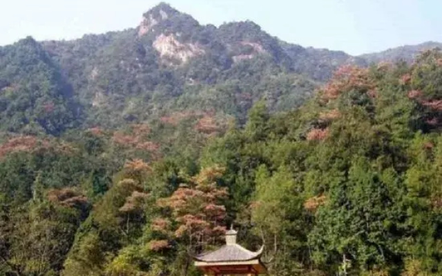 Mangshan Style Farmhouse(Mangshan Grand Canyon Rafting Shop)
