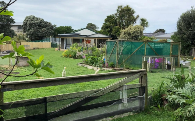 @Taradise-Opunake - eco-friendly Coastal hideaway