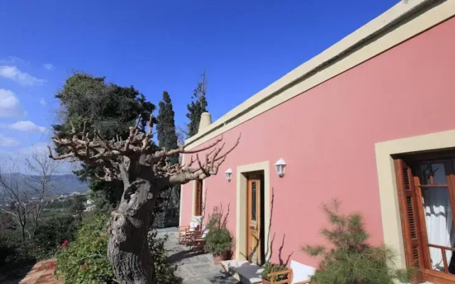 Montofoli Wine Estate