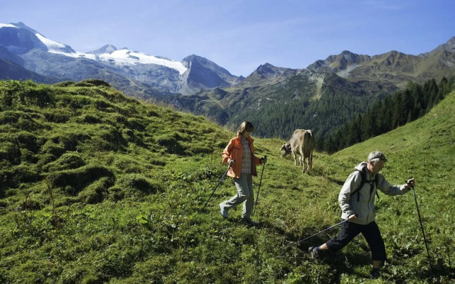 Delightful Apartment in Zell am Ziller With a View