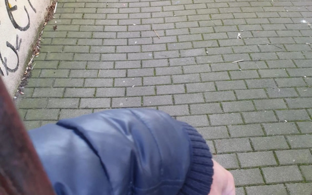 Ferienwohnung Dresden-Neustadt mit Parkplatz im Hof , Balkon ab April 2023