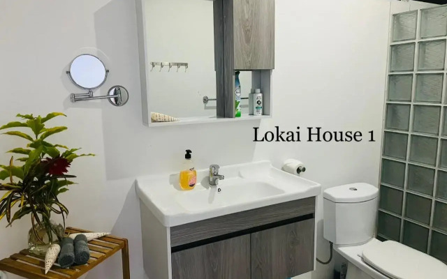 Lokai house