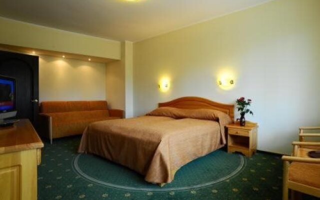 Hotel Casa Viorel
