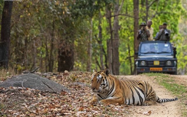 Taal Tiger Retreat