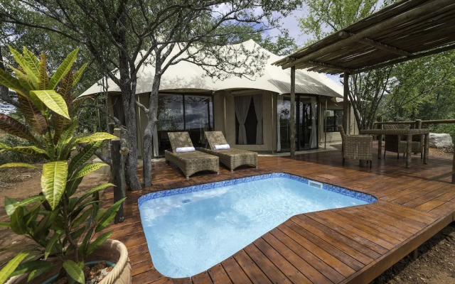 The Elephant Camp
