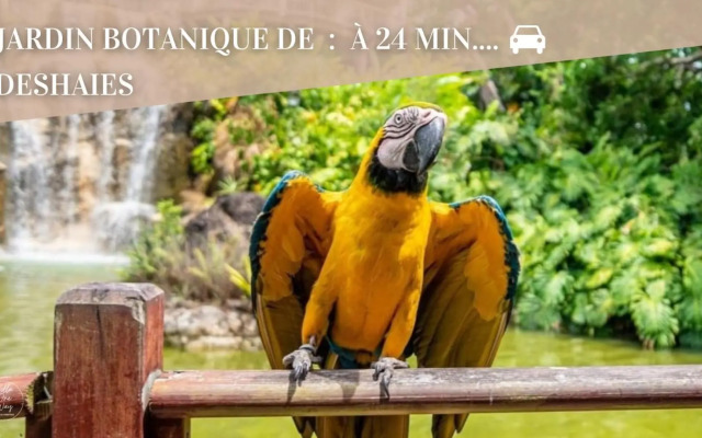 Villa Oneway avec piscine - 12 Pers