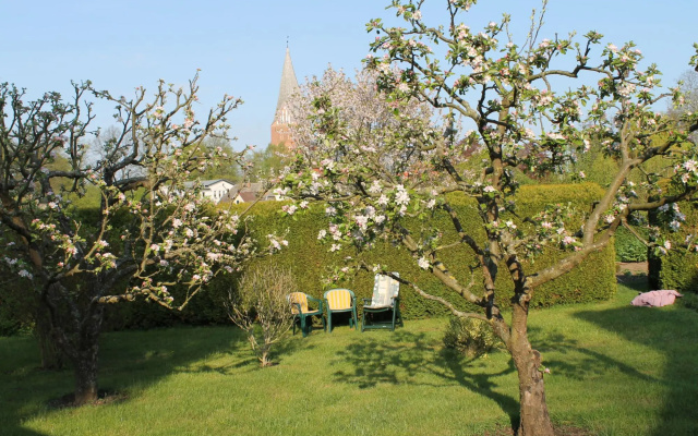 Wohnung mit Grossem Garten an der Ostseekuste