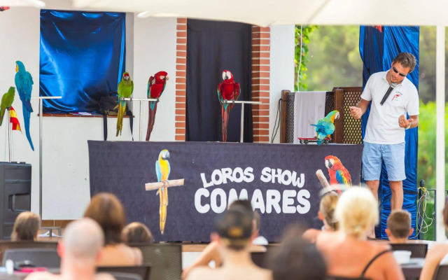 Aluasun Marbella Park Hotel