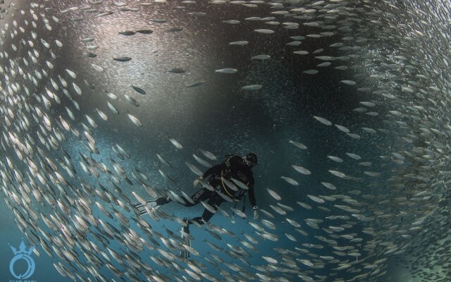 Club Hari Dive Resort