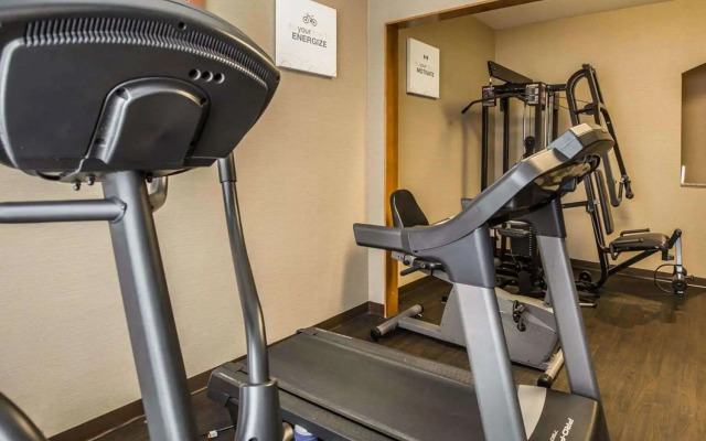 Comfort Suites Stafford Near Sugarland