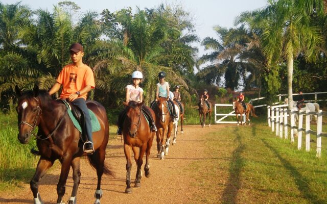 Riders Lodge Resort - The Original