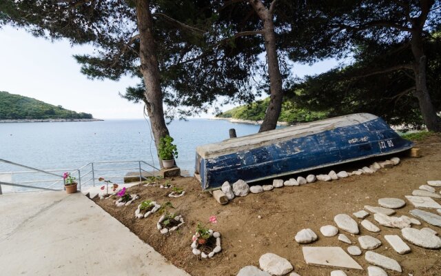 Apartments Franka Saplunara