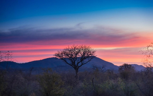 Rockfig Lodge Madikwe