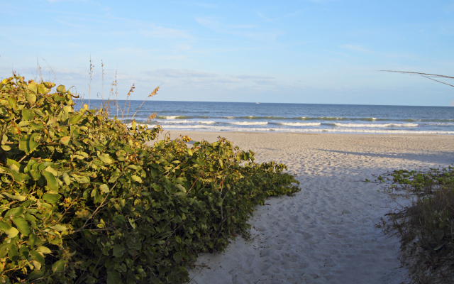 Courtyard Cocoa Beach Cape Canaveral