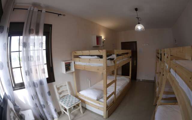 Drago Hostel