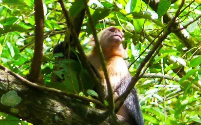 Dayka Complejo Turístico