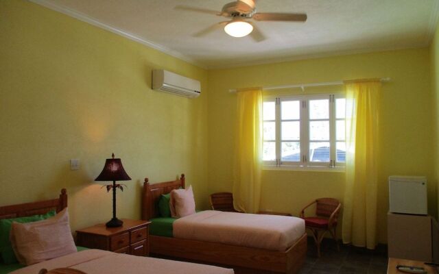 Harlem B & B