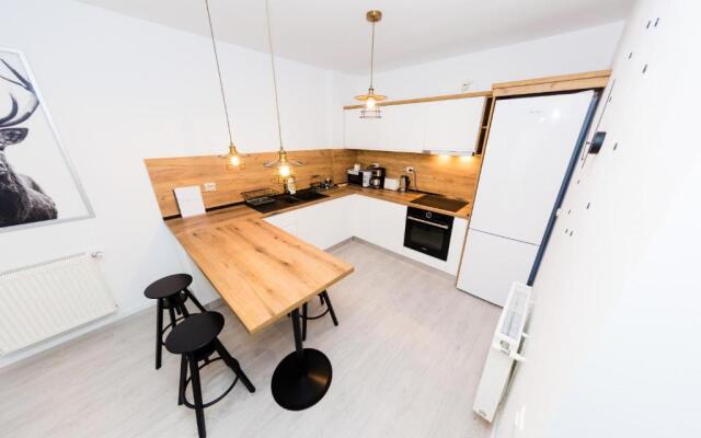 Anastasia Studio