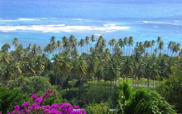 Sugar Reef Bequia - Adults only